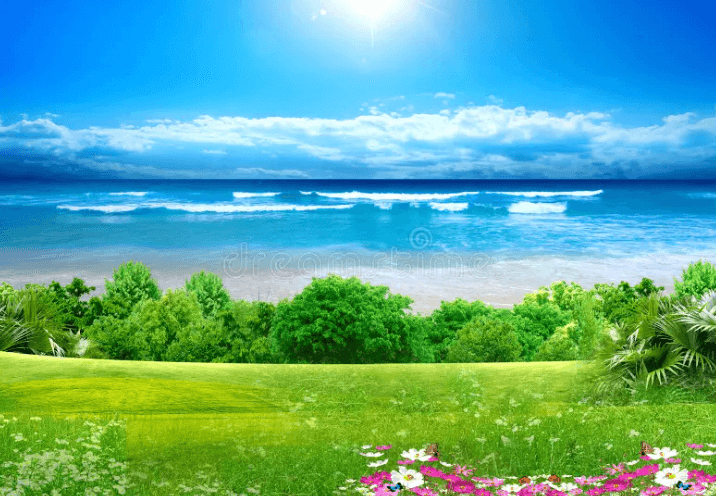 Noster et vis vidit doming integre usu et vel unum