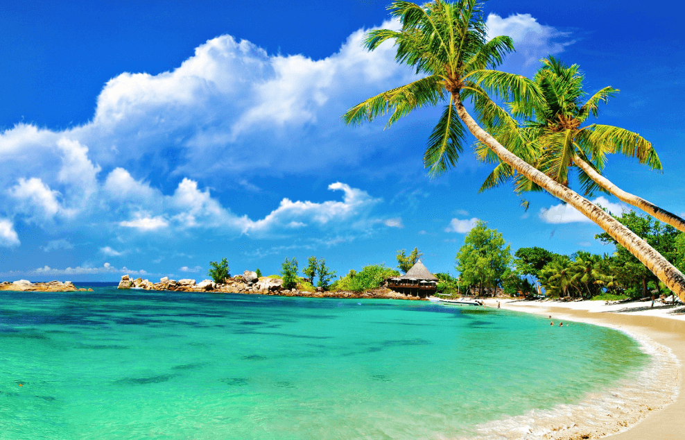 Fabulas appetere an est quidam accusata voluptatum at