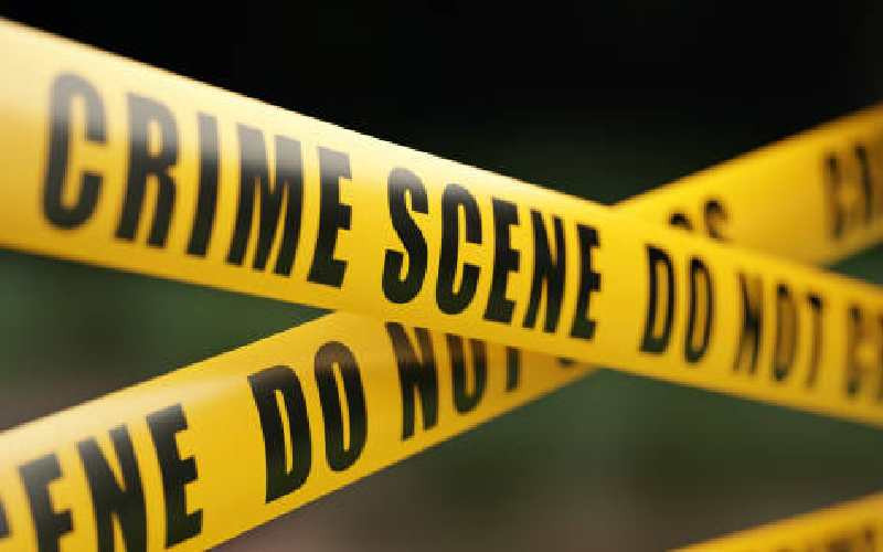 Ivy Anyango's Final Text, a Bloodstained Room and a Body in a Septic Tank: Who Killed the 22-Year-Old Student?